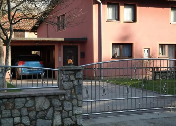 Mountain Flower ديلنايس