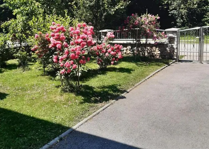 Mountain Flower Daire Delnice