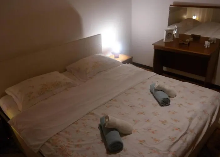 Mountain Flower Daire Delnice