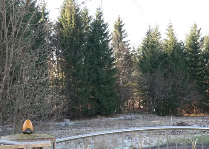 Mountain Flower Delnice